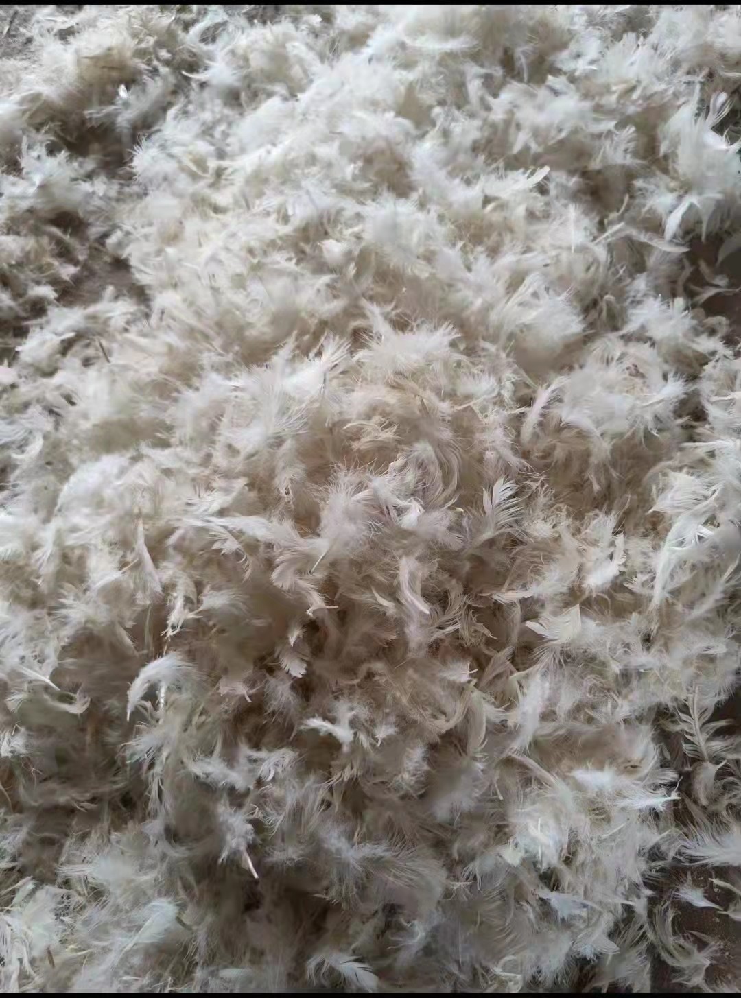 Washed Feathers Product